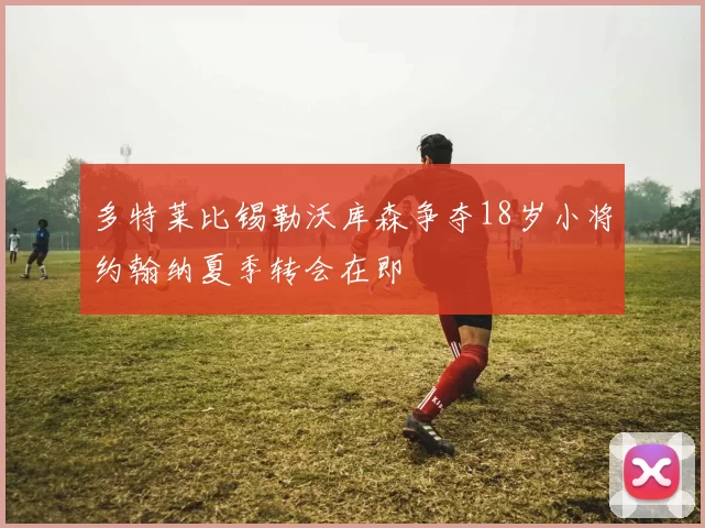 多特莱比锡勒沃库森争夺18岁小将约翰纳夏季转会在即